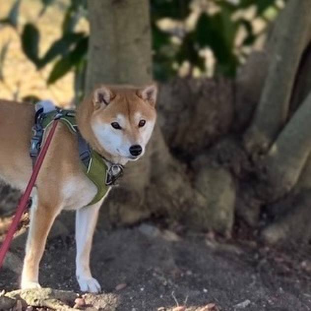 B022b1d4 94b0 4ec8 9d74 c495aff79ac0 1645669352699