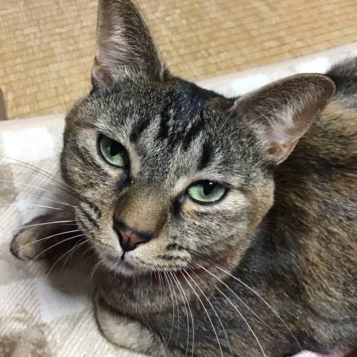 B022b990 bc06 473e 834d e053d729a39b 1641441501221