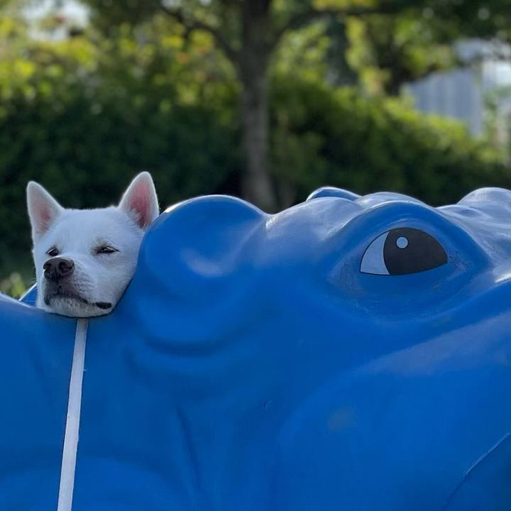 B022bc93 0459 414e 9c3f a3ed625c32fa 1697846386669