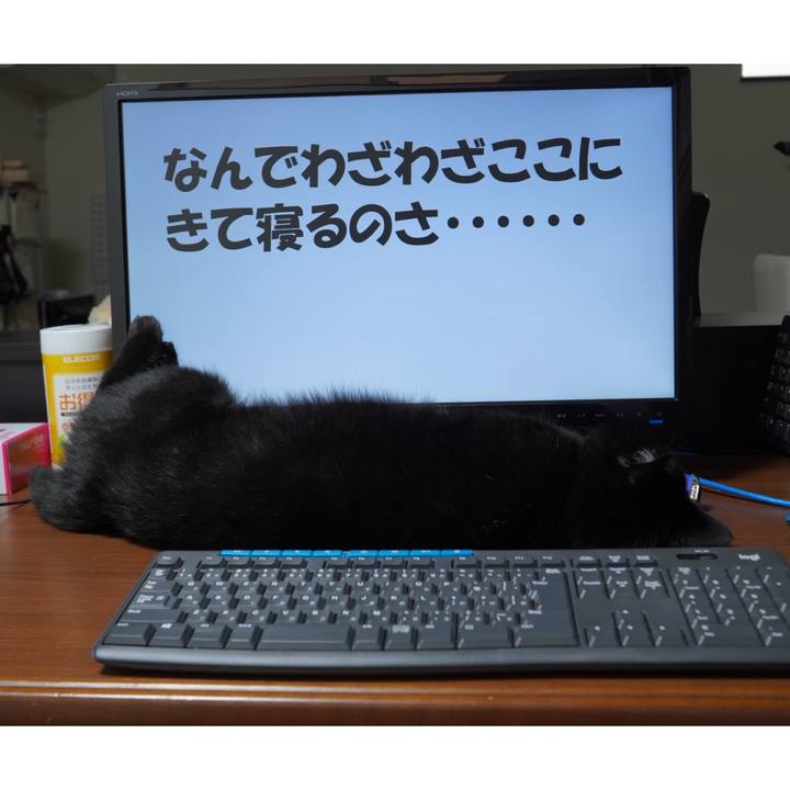 B022e722 af72 4b0f 81fa 1c98a925e895 1596709036565