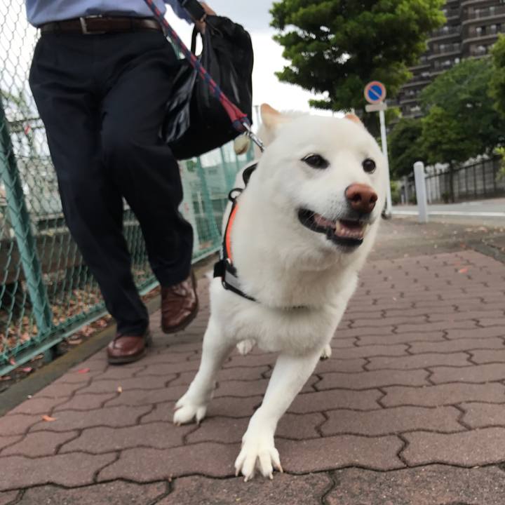 B022fb85 6038 4f40 a5a5 073bccb99736 1527205234060