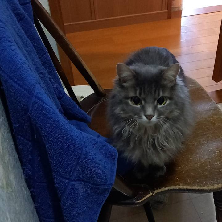 B0230e47 3689 4cba 93f9 f7c714c60adf 1611486307118