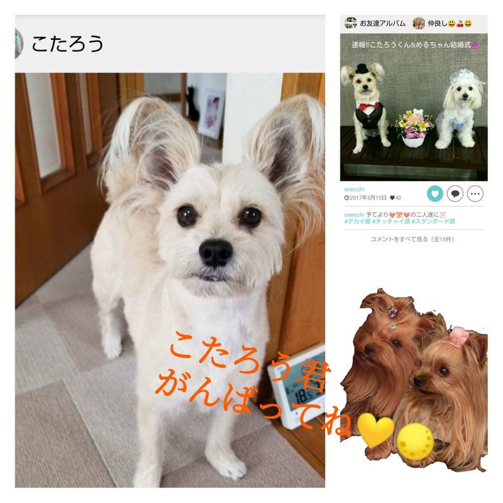 B0232308 605c 4094 b668 749475db12fd 1627796819400