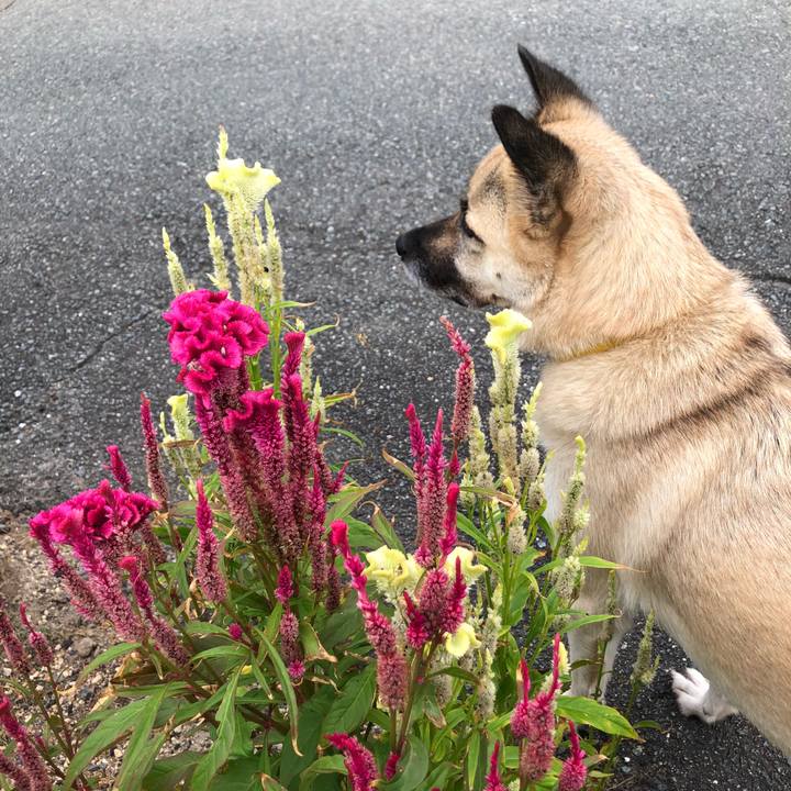 B0238225 6f57 4f86 81c1 0f75826a94d6 1599737307338