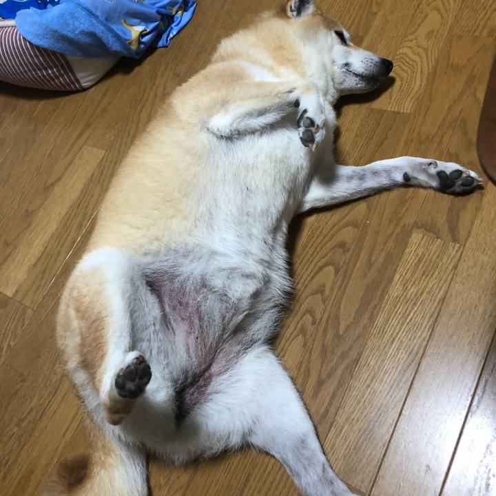 B023a1b7 55b1 438e 833d 26352f3190c2 1561939475217