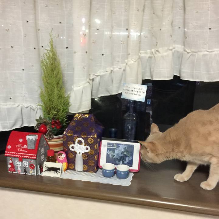 B023a69e dc75 4c57 b58f 8fb04cfa57fe 1545221319741