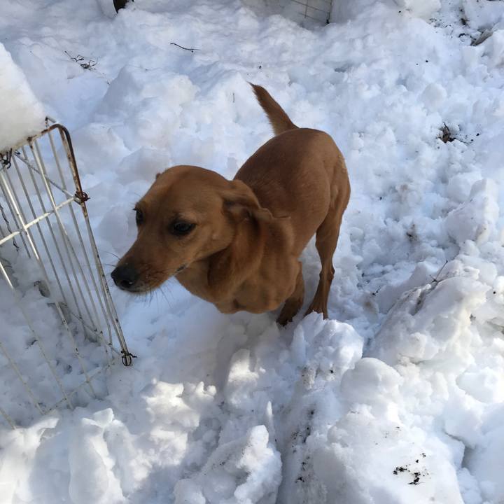 B023b057 a756 4898 9721 9fb6bd9fe6c7 1516693087988