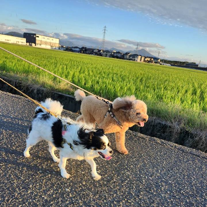 B0240f28 e9e9 4f70 90ad de27b0962747 1760397266240