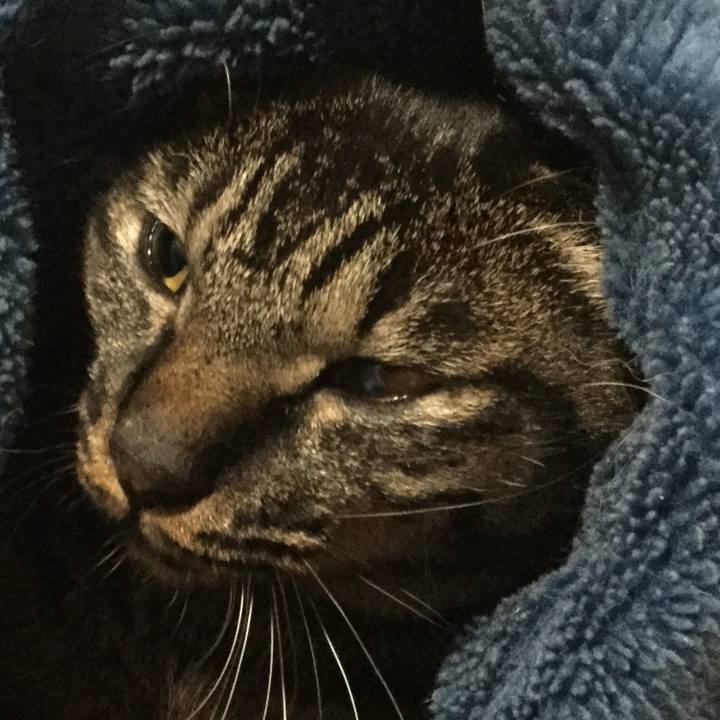 B0241a79 4fc4 4ec0 8c9d 4f5362f5661e 1576721280388