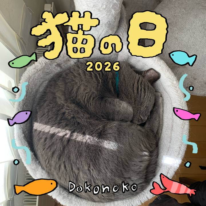 B0243c04 ed73 4ad6 a2b4 5385a1d50f53 1771803749341