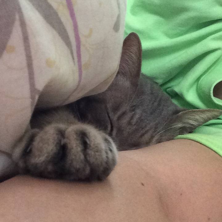 B024570e cdb1 4d5a 960d 67e232bf9f53 1539394150964