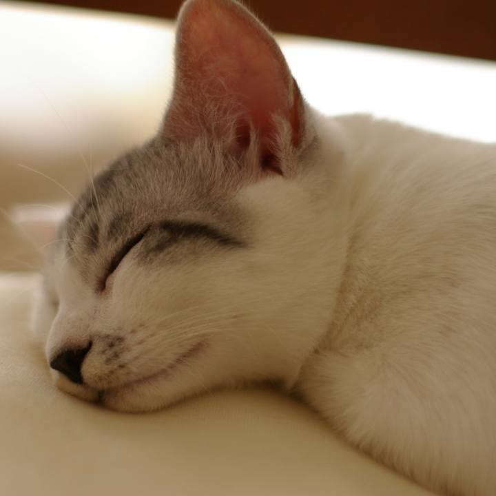 B0249de9 2d2c 44f2 b9c0 baa3d4009bef 1526789013808