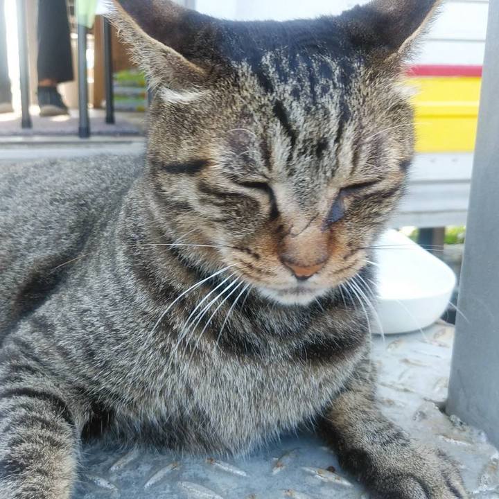 B024a8b5 f9e1 480f a930 c35742a89a3b 1598318437513