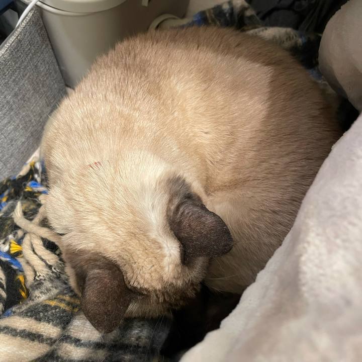 B024f6d3 550b 4cd8 96e7 39902f7b15b6 1765799192412