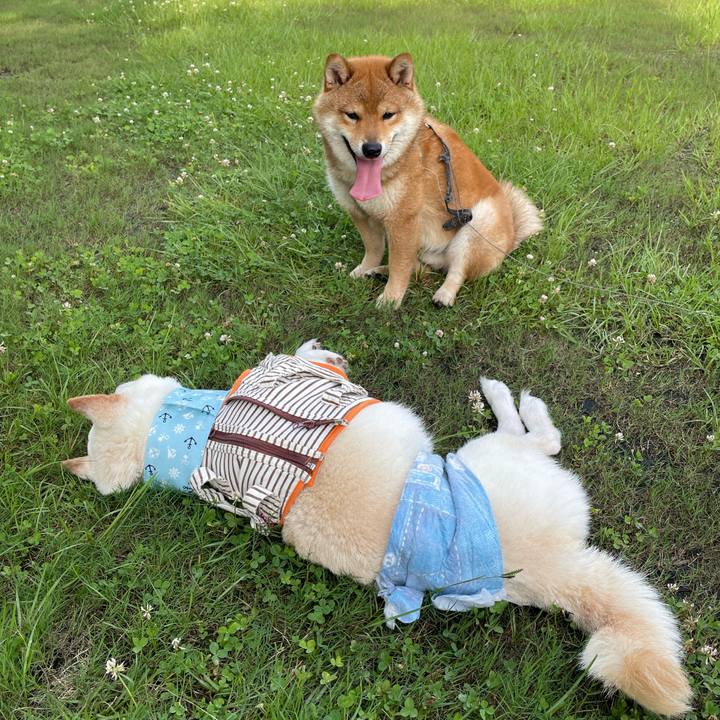 B0251134 76fe 43f7 b300 2e98d4cd31b4 1658067034364