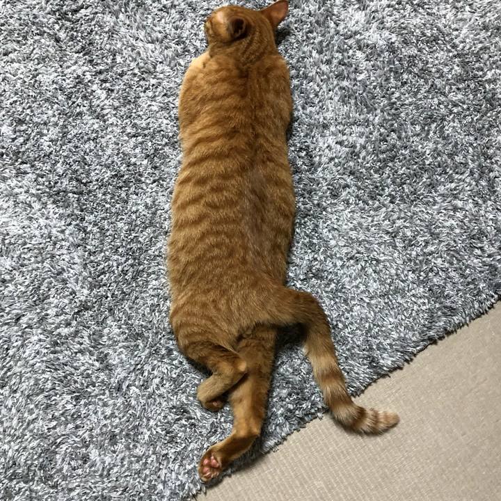 B0251825 67c2 48ed 82f3 f482fb6da5a3 1525326070112