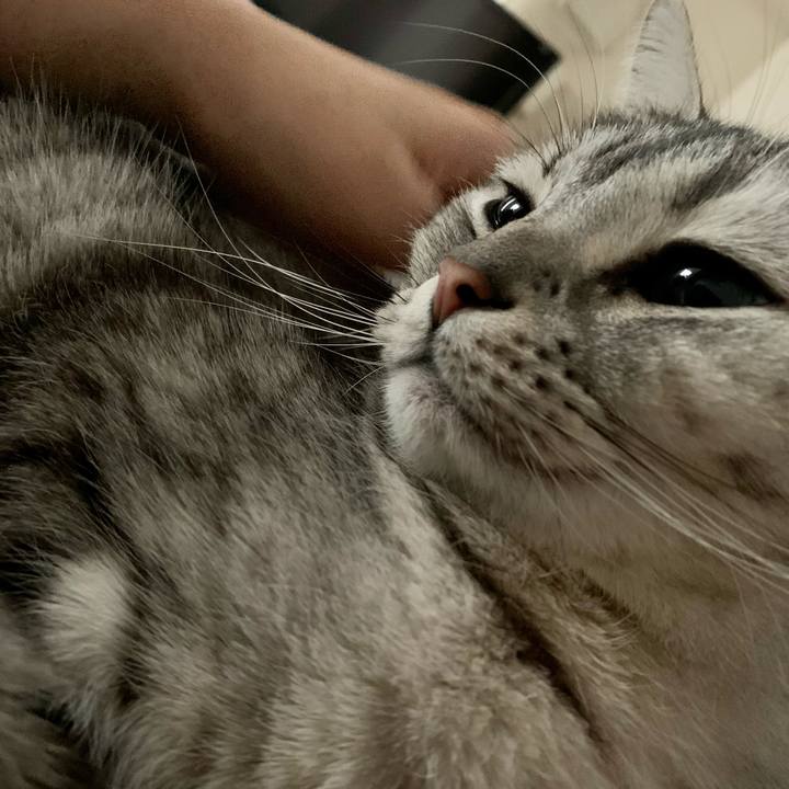 B0255d06 b81b 49d2 be03 02a9966f707f 1613001425953