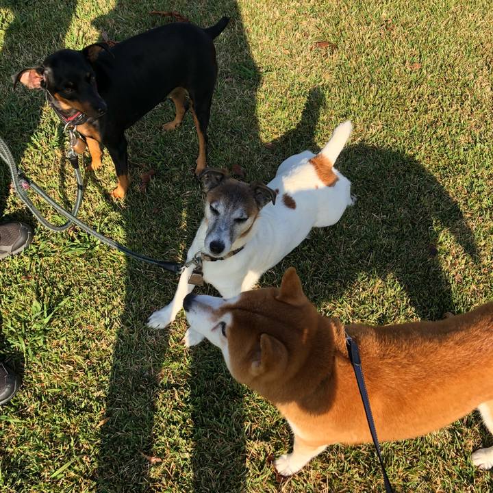 B025731e 05fb 47c3 90dd 0b850a0a87bd 1542187612057