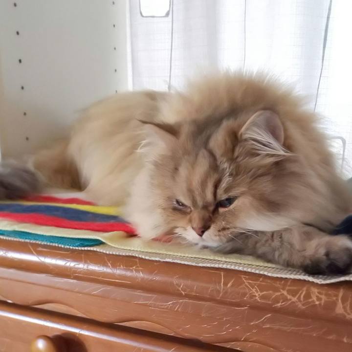 B025998b c523 41e0 bd8e 8c0c0cbb233a 1606181054099