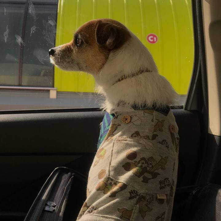 B025b2ab 8a66 4c14 acfb 306e2d74b6c0 1518307021330