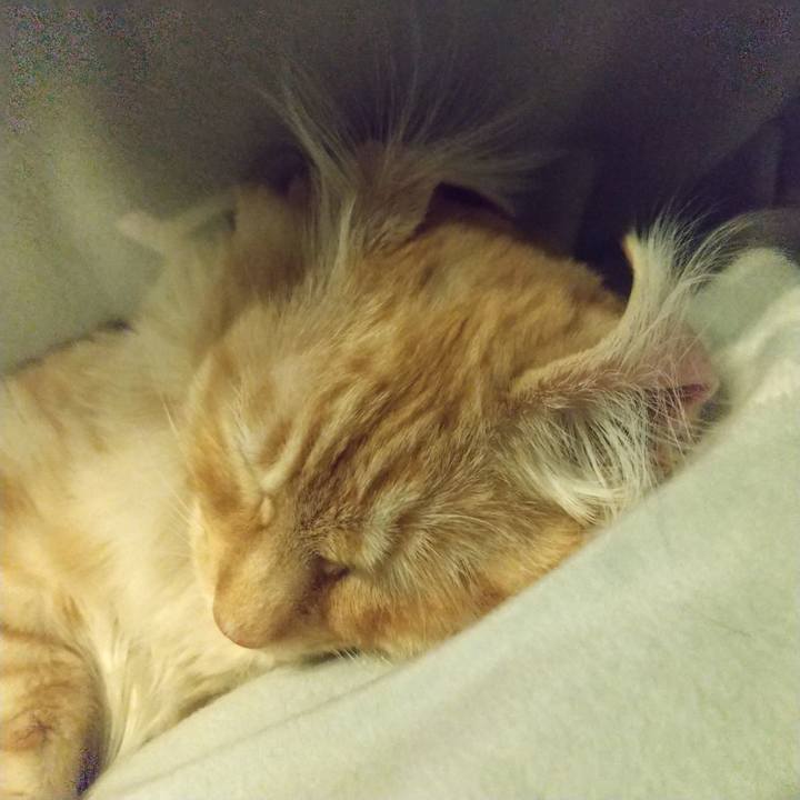 B0261feb 0351 4b34 b4f7 7bd422d0334e 1617635671991