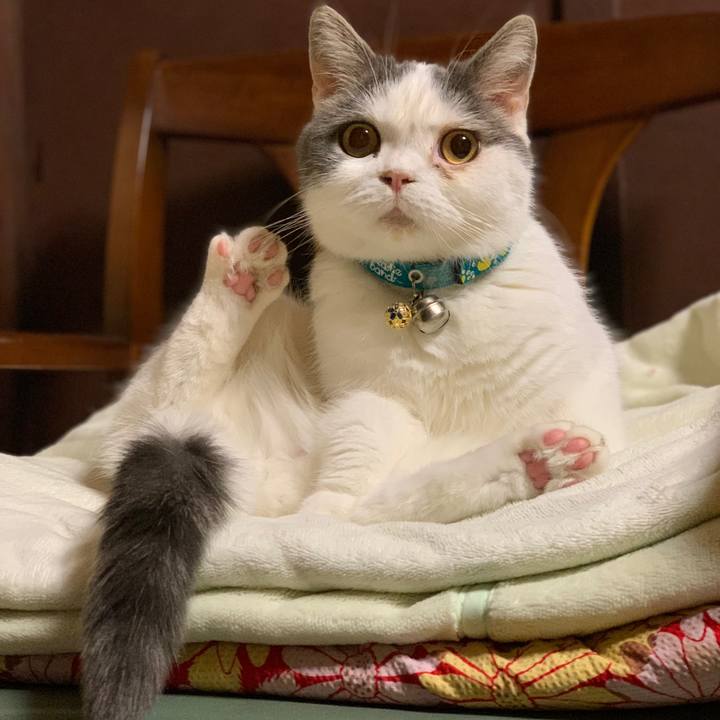 B026453d 2460 4050 ba57 49b7e800b57f 1637540108782