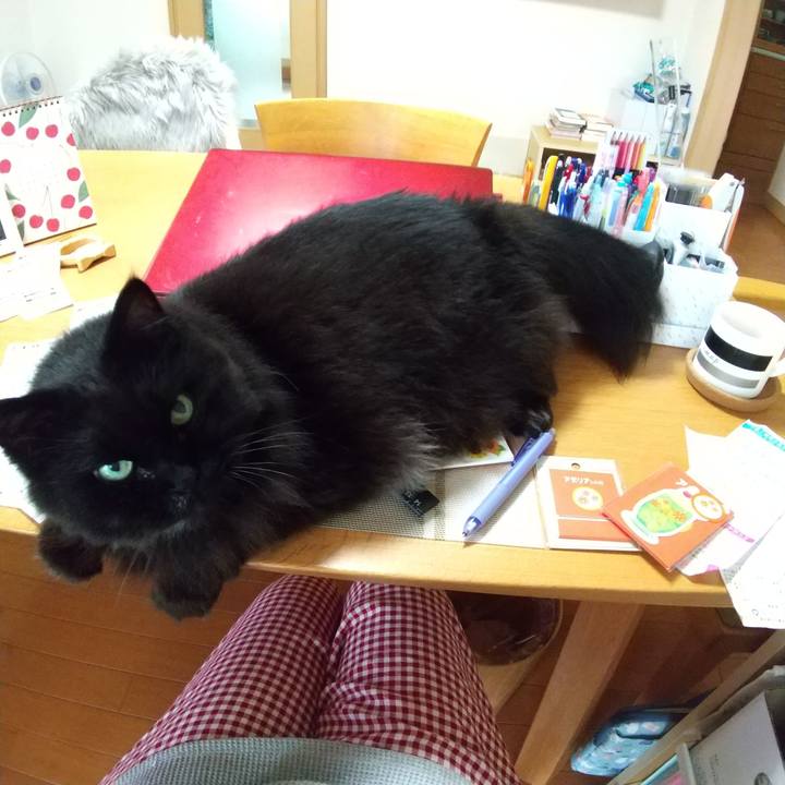 B0265e7d 5140 4273 990b 1b21285663e9 1657949707782