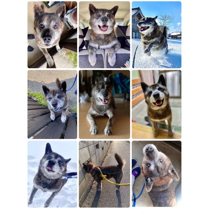 B026670d f477 4d12 8b2b 88845d30949c 1672456244286