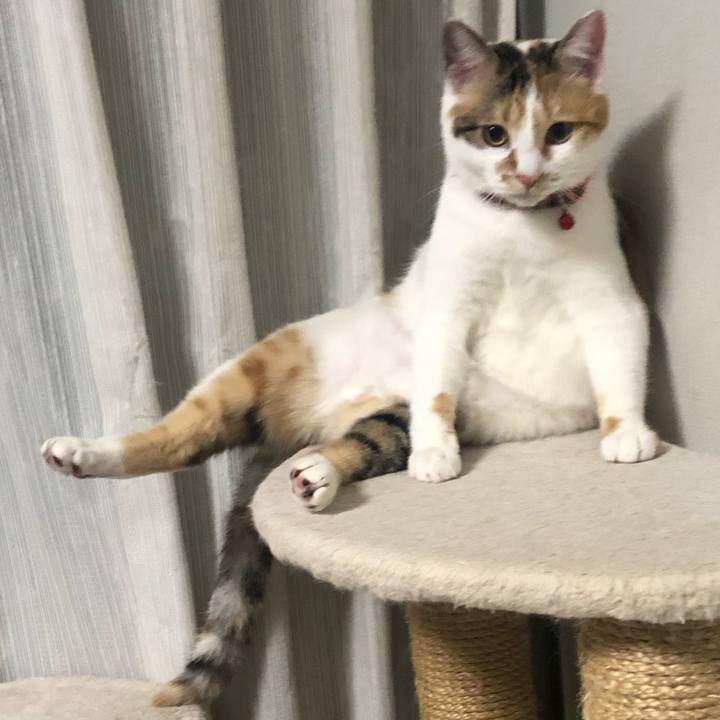 B026806c bb09 4af1 a24e a0a9ebb1e6c5 1582727495540