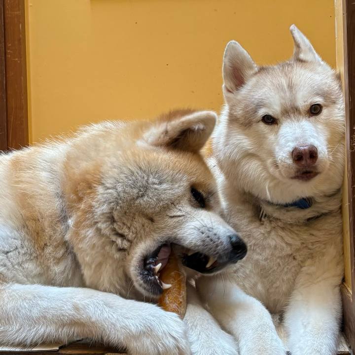 B0268b4e df2f 4405 ae97 1b93db0f4ff9 1753583398759