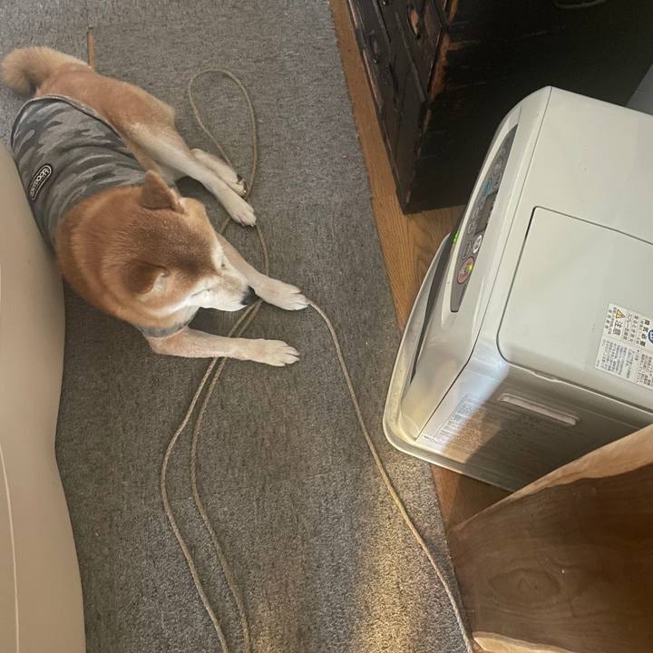 B026a6d6 40a7 486f bf01 a0f1dd7ef099 1644797240677