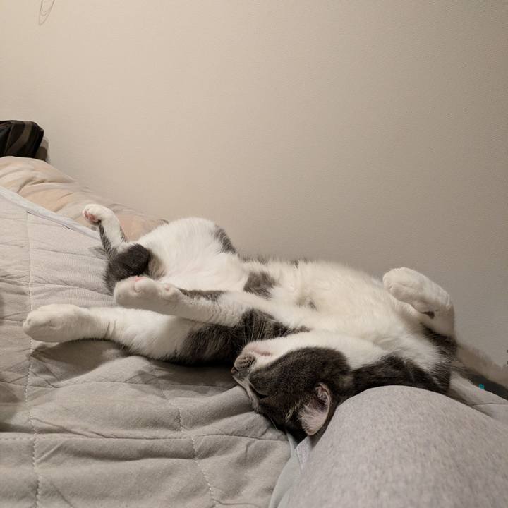 B026b026 3980 4222 8c87 87aa1f139310 1725454390589