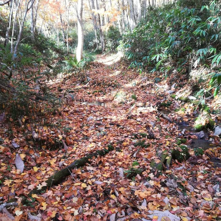 B0271b92 4f50 4fa9 aa0e a98d2b033487 1572146388769