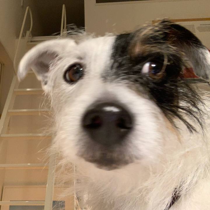 B027632f 5765 4291 80c1 b53249f4f77a 1612350038023