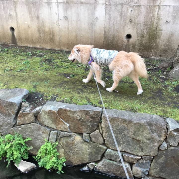 B0279141 6e8f 4834 951f daabc42b439f 1553658519037