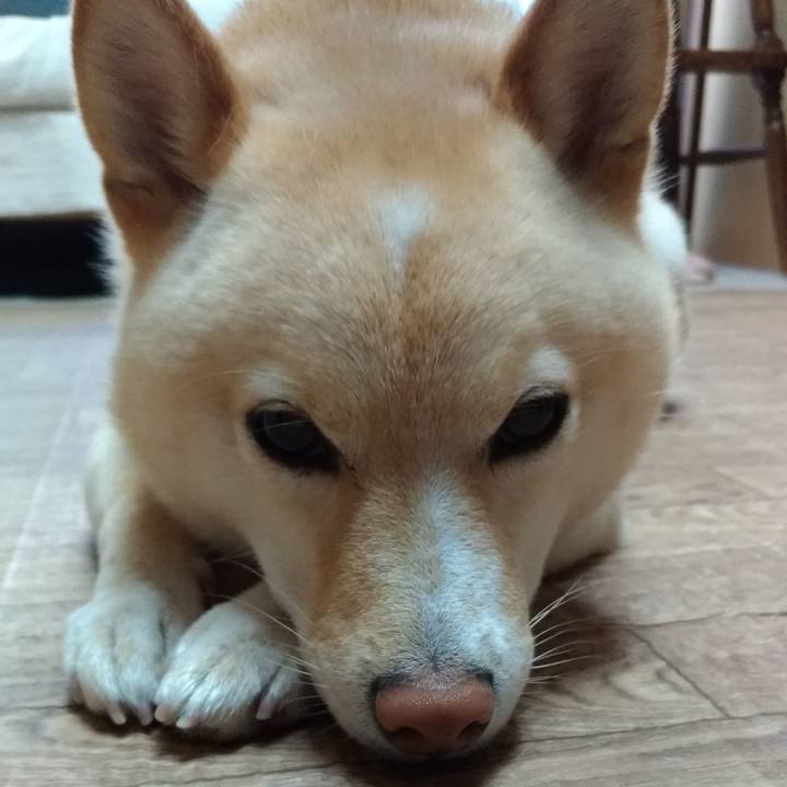 B0279674 9263 4762 b447 26f7a1a81c8b 1588919966266