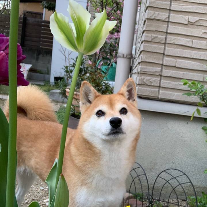 B027e097 bd2d 4194 a1d7 fb867e1b8526 1586161576119