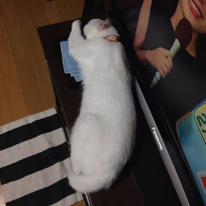 B02822cb 5b7c 409e 9600 6d099aa6e0f4 1630208882188