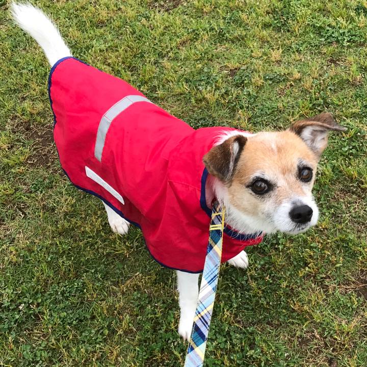 B0283cb0 a00e 40b2 9635 d464900d1975 1590480916703