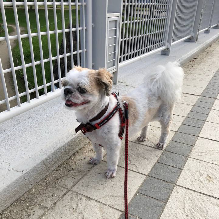 B0289155 293c 4b16 9980 f7e692de36a2 1567815689092