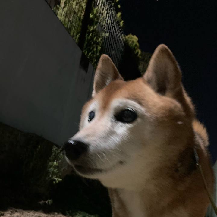 B028b000 5486 41b5 9d66 e5d23ded0f0f 1710763123181