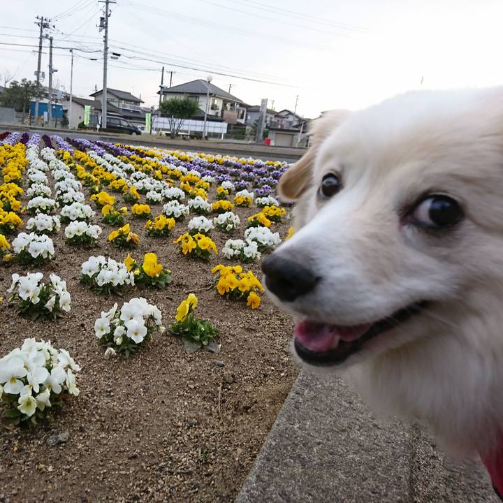 B028d6a4 6683 4b77 a937 7d08f84d02af 1522793997967