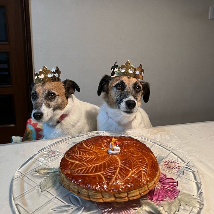 B028e5dd e954 4366 8732 f73ede760ee7 1673959299142