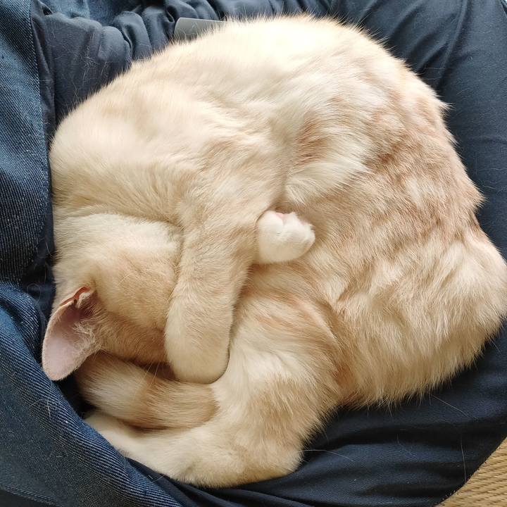 B028e9e5 0b9a 4b03 a065 fc1a40f63b85 1653360965528