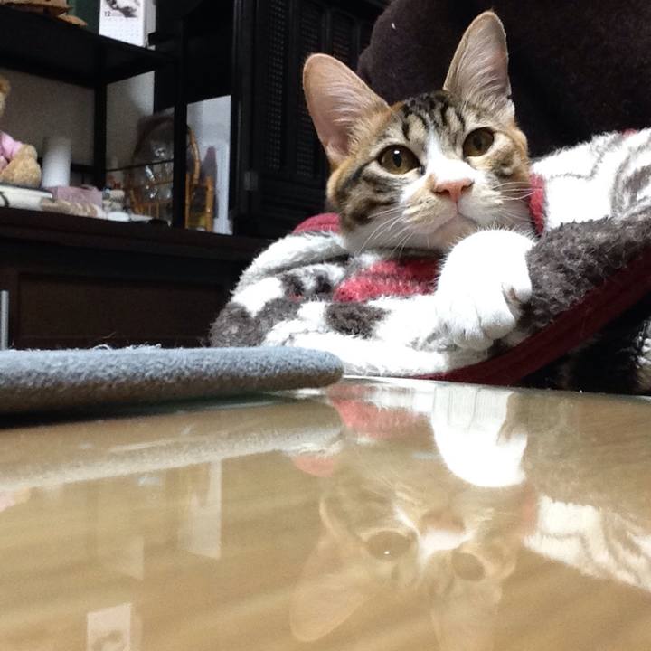 B028fcf4 37c8 4781 8d44 401930cfeee5 1641121850295