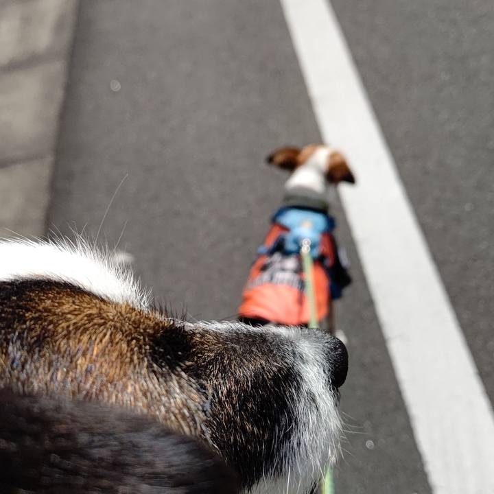 B0293401 8d4c 4ec8 80ca c98a47dddc55 1619420036109