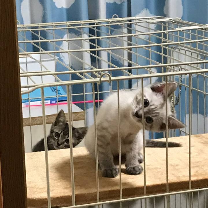 B0293971 5d32 4250 b9fe ec61f655dacb 1558658445776