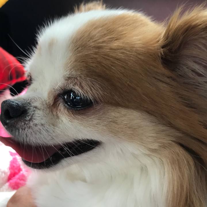 B02939b5 383c 4191 bc5d 401dfab6ce48 1566720012063