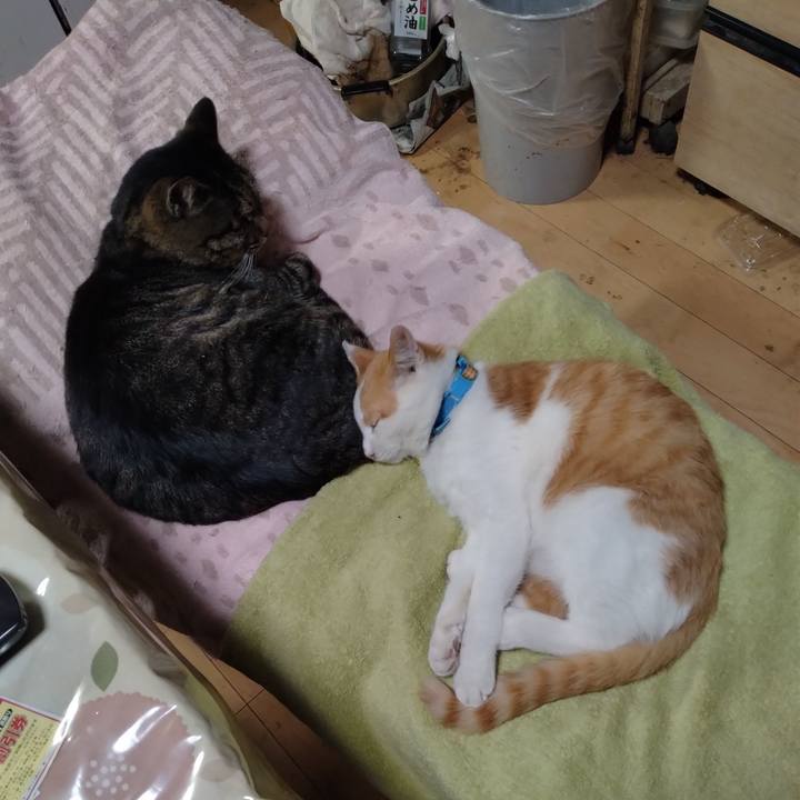 B02949fd c2f2 4aa3 ad13 dd48163915b0 1733901622908