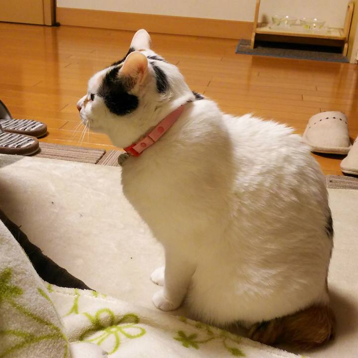 B0297259 043b 414d 83f7 9abf705f4a58 1516369989946